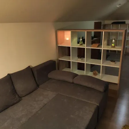 Comfy Attic Near The Airport - Full דירה *